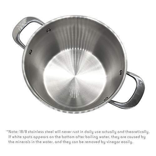 Fortune Candy 10-Quart Pasta Pot with Strainer Insert, 18/8 Stainless Steel - Fortune Candy